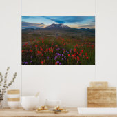 花 |インディアンペイントブラシ&ペンステモン ポスター (キッチン)