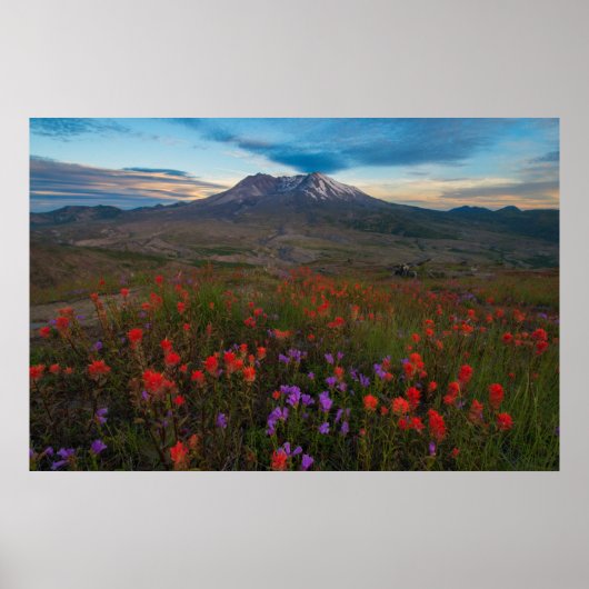 花 |インディアンペイントブラシ&ペンステモン ポスター (正面)