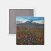 花 |インディアンペイントブラシ&ペンステモン マグネット (正面/裏面)