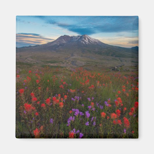 花 |インディアンペイントブラシ&ペンステモン マグネット (正面)