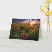 花 |インディアン毛布ワイルドフラワーテキサス州 カード (黄色い花)