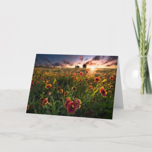 花 |インディアン毛布ワイルドフラワーテキサス州 カード (正面)