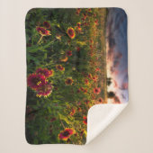 花 |インディアン毛布ワイルドフラワーテキサス州 シェルパブランケット (正面)