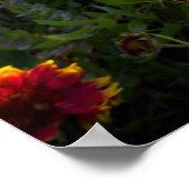 花 |インディアン毛布ワイルドフラワーテキサス州 ポスター (角)