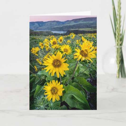 花 |オレゴン、バルソムートコロンビア川 カード (正面)