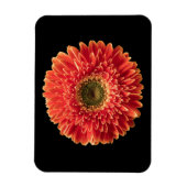 花 |オレンジゲルベラデイジー マグネット (縦)