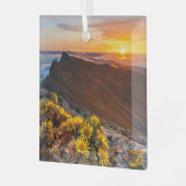 花 |カナリア諸島，スペイン ガラスオーナメント (正面左)