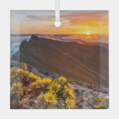 花 |カナリア諸島，スペイン ガラスオーナメント (正面)