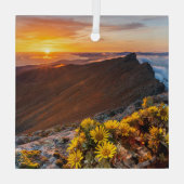 花 |カナリア諸島，スペイン ガラスオーナメント (裏面)