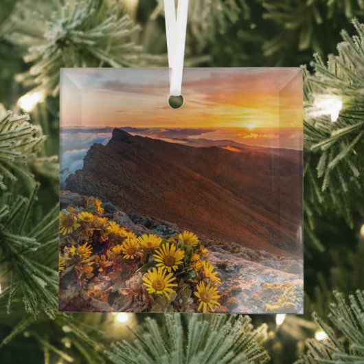 花 |カナリア諸島，スペイン ガラスオーナメント (インサイチュ)