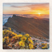 花 |カナリア諸島,スペイン ガラスコースター (正面)