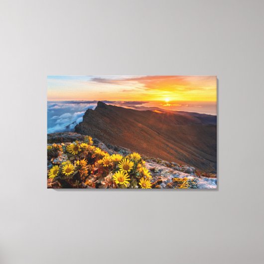 花 |カナリア諸島，スペイン キャンバスプリント (正面)