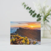 花 |カナリア諸島,スペイン ポストカード (スタンド正面)