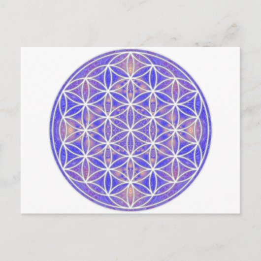 花(カラー3) ポストカード (正面)