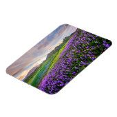 花 |カリフォルニアのワイルドフラワー マグネット (左側)