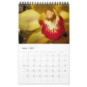 花 カレンダー (3月 2017)