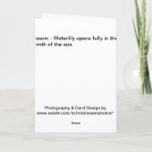 花 カード (裏面)