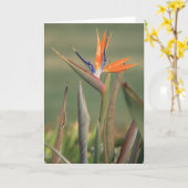 花 カード (黄色い花)