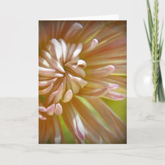 花 カード (正面)