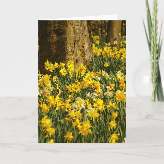 花 カード (正面)