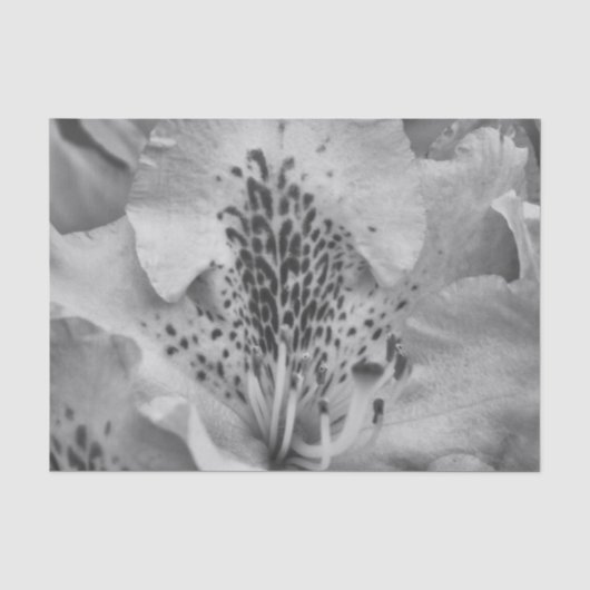 花 グレー 薄葉紙 (正面)