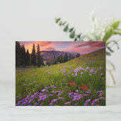 花 |コロラド州の紫色の野生の花 サンキューカード (スタンド正面)