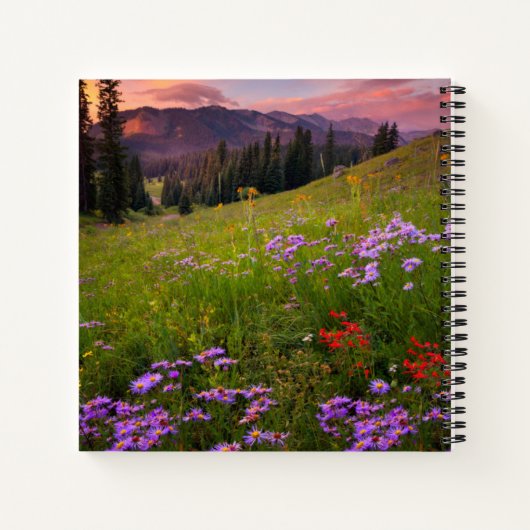 花 |コロラド州の紫色の野生の花 ノートブック (裏面)
