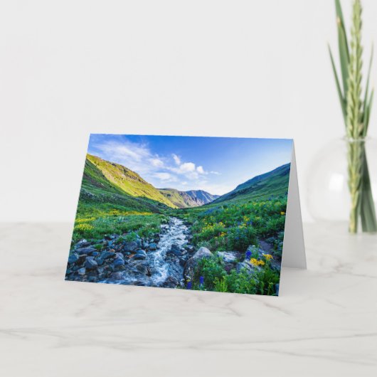 花 |コロラド州ワイルドフラワー カード (正面)
