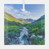 花 |コロラド州ワイルドフラワー ガラスオーナメント (正面)