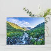 花 |コロラド州ワイルドフラワー サンキューカード (スタンド正面)