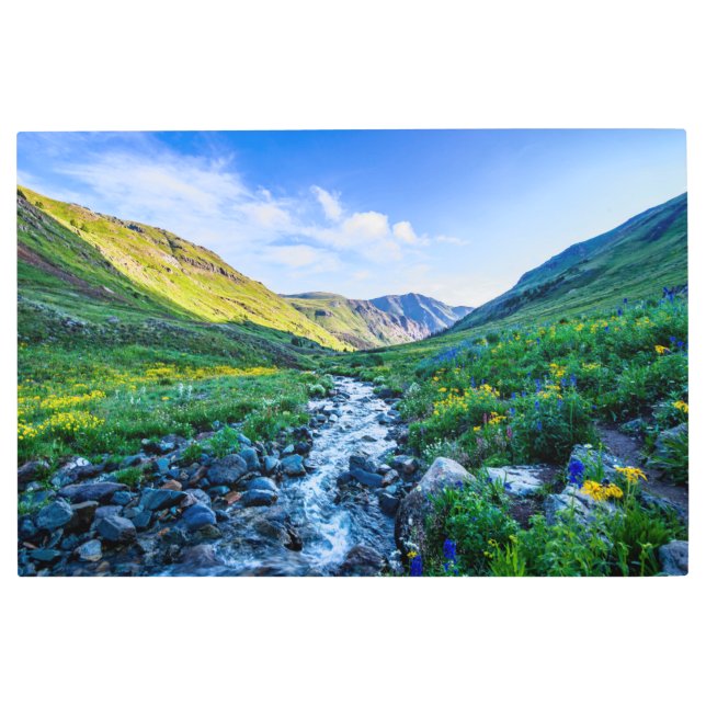 花 |コロラド州ワイルドフラワー メタルプリント (正面)