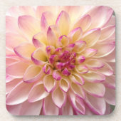 花 コースター (正面)