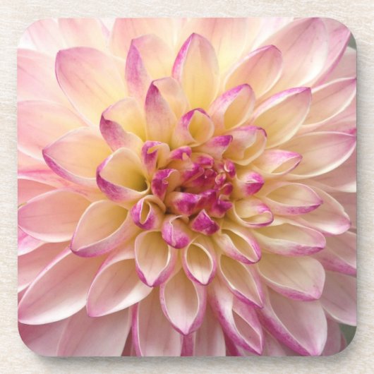 花 コースター (正面)