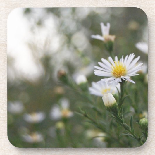 花 コースター (正面)