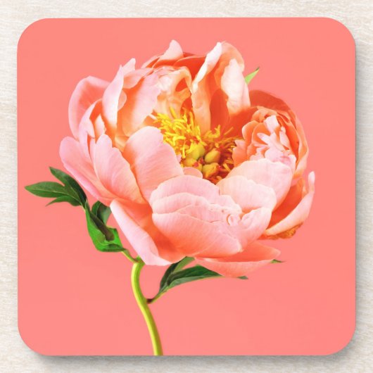 花 |サンゴの牡丹の花 コースター (正面)