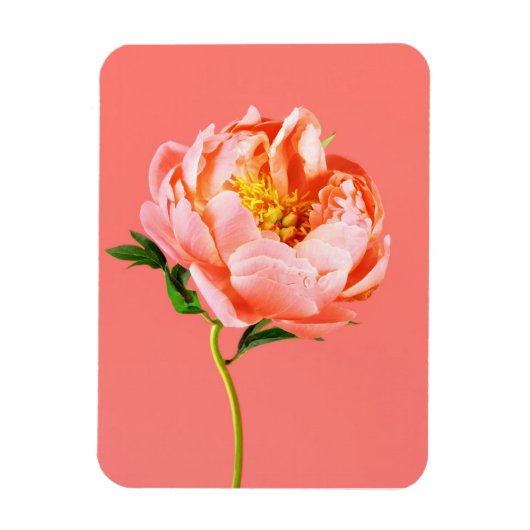 花 |サンゴの牡丹の花 マグネット (縦)