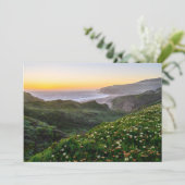 花 |サンタクルーズカリフォルニア サンキューカード (スタンド正面)