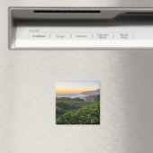 花 |サンタクルーズカリフォルニア マグネット (インサイチュ (食洗機))