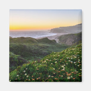 花 サンタクルーズカリフォルニア マグネット