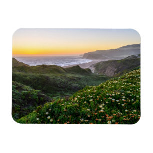 花 サンタクルーズカリフォルニア マグネット