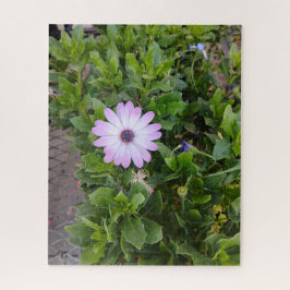 花 ジグソーパズル