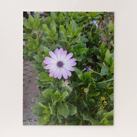 花 ジグソーパズル (縦)
