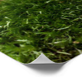 花 |スウェーデンのリリー ポスター (角)