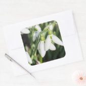 花 スクエアシール (封筒)