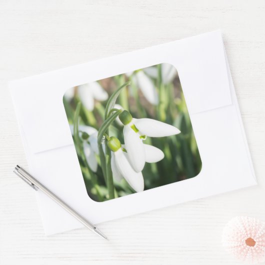 花 スクエアシール (封筒)