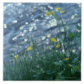 花 タイル (正面)