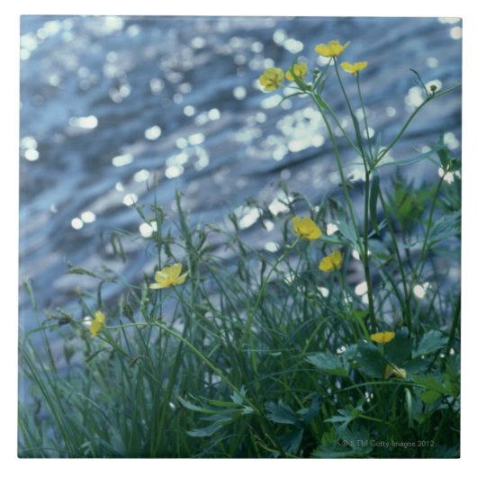 花 タイル (正面)