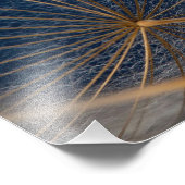 花、タンポポ。 フォトプリント            (角)