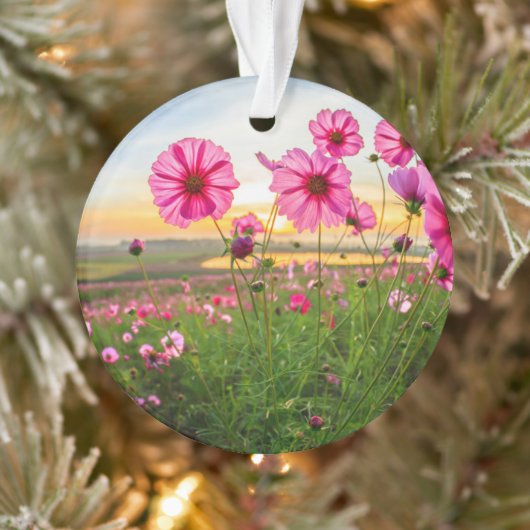 花 |チェンライ県、タイ オーナメント (ツリー)