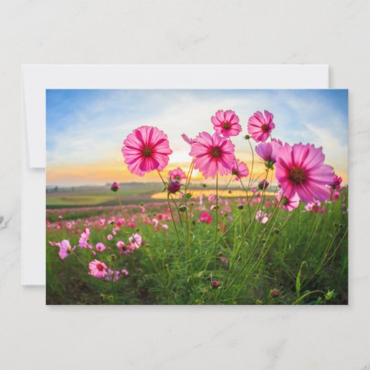 花 |チェンライ県、タイ サンキューカード (正面)